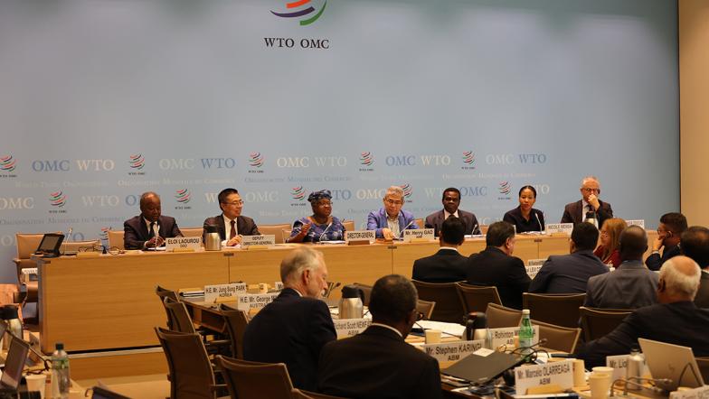 WTO Chairs Programme holds Annual Conference