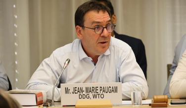 DDG Paugam calls on WTO Chairs Programme to contribute fresh ideas to food security debate
